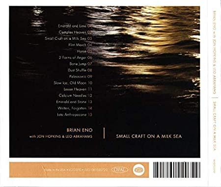 Small Craft On A Milk Sea (Digital Download Card) (2 LPs) [Vinyl] (ONLINE ORDER ONLY)