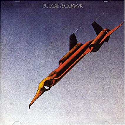 Squawk [Import] [Vinyl]