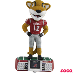 NCAA Stadium Lights Bobbleheads (ONLINE ORDER ONLY)