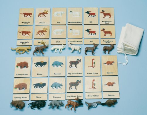 Continent 3-Part Wood Tiles & Replicas: North American Animals Item# C10229K (ONLINE ORDER ONLY)