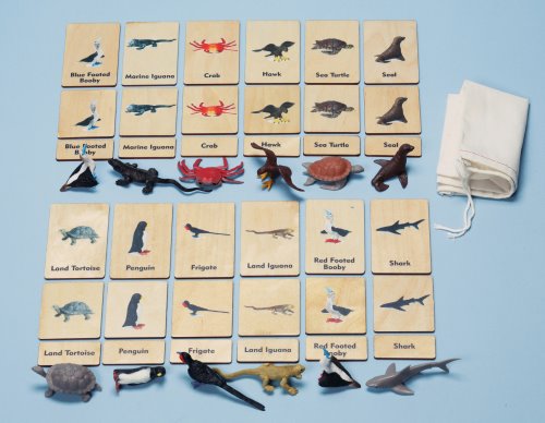 Continent 3-Part Wood Tiles & Replicas: South American Animals Item# C10230K (ONLINE ORDER ONLY)