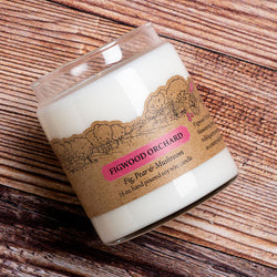 Cantrip Candles (9 oz Glass Candle) (ONLINE ORDER ONLY)