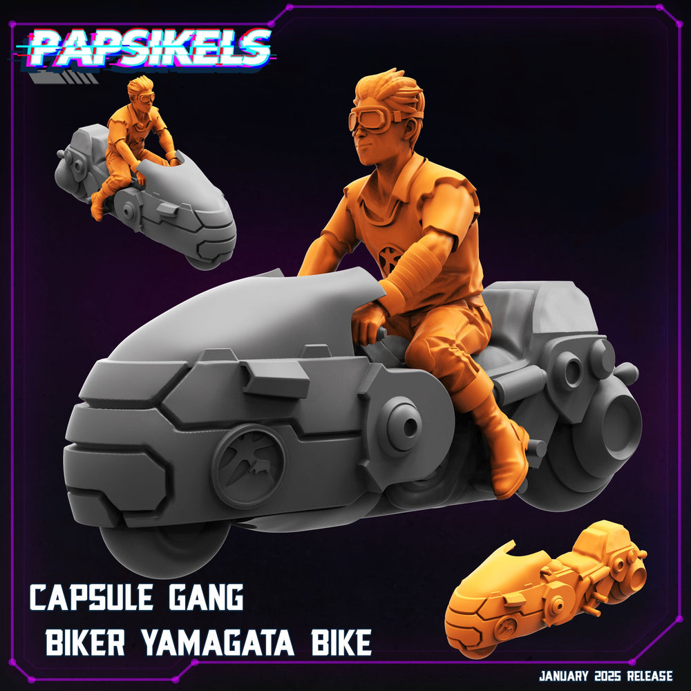3D Printed Papsikels Capsule Gang Biker Set January 2025 - Cyberpunk 28mm 32mm (Online Only)
