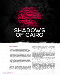 Shadowrun RPG: Risks & Rewards (6E)