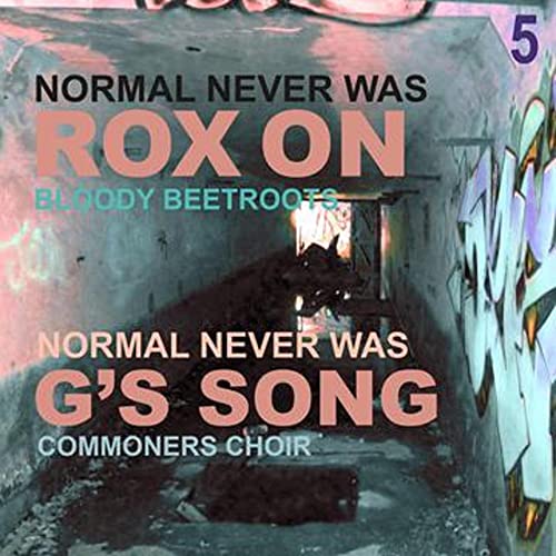 NORMAL NEVER WAS V [Vinyl]