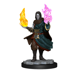 Critical Role: Hollow One Rogue and Sorceror Male (ONLINE ORDER ONLY)