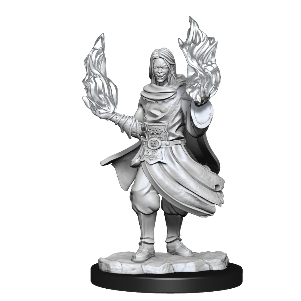 Critical Role: Hollow One Rogue and Sorceror Male (ONLINE ORDER ONLY)
