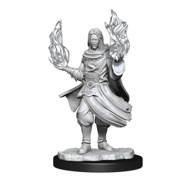 Critical Role: Hollow One Rogue and Sorceror Male (ONLINE ORDER ONLY)