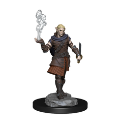 Critical Role: Pallid Elf Rogue and Bard Male (ONLINE ORDER ONLY)