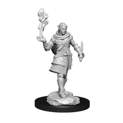 Critical Role: Pallid Elf Rogue and Bard Male (ONLINE ORDER ONLY)