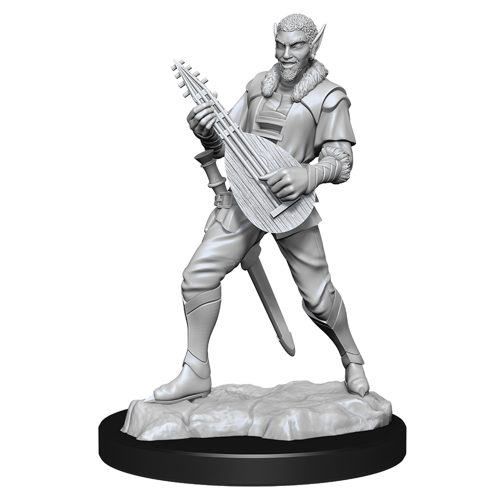 Critical Role: Pallid Elf Rogue and Bard Male (ONLINE ORDER ONLY)