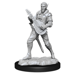 Critical Role: Pallid Elf Rogue and Bard Male (ONLINE ORDER ONLY)