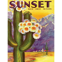 Cactus Blooms Sunset Magazine 500 Piece Jigsaw Puzzle NYPC