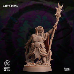 3D Printed Sordane Publishing Cappy Druid Moonsoon 28 32mm D&D (Online Only)