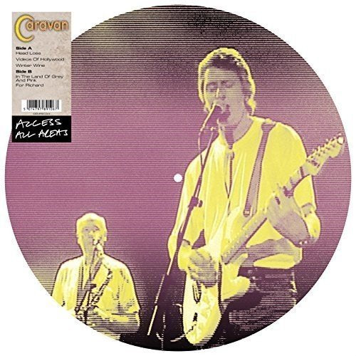 Access All Areas (Picture Disc) [Vinyl] (ONLINE ORDER ONLY)