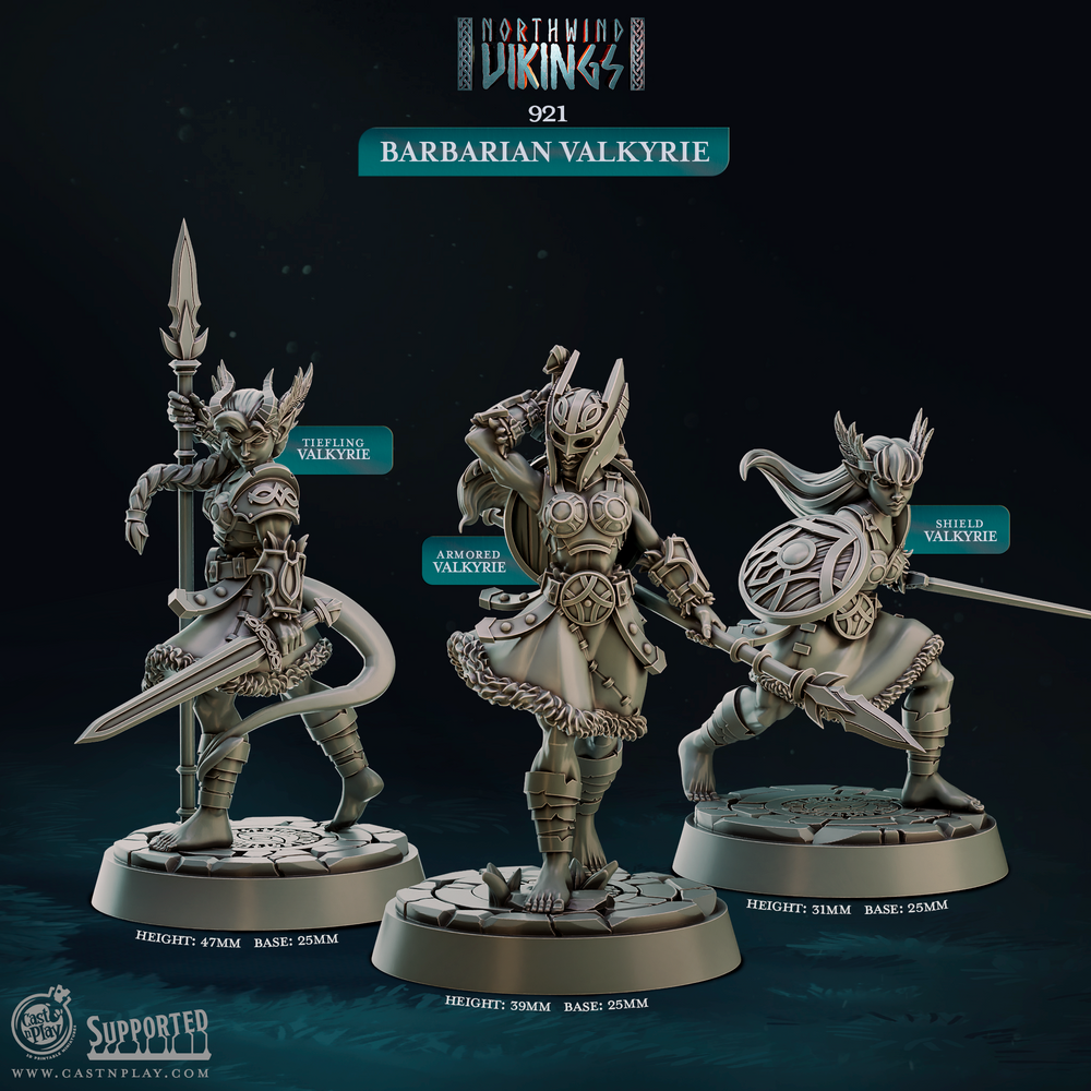 3D Printed Cast n Play Barbarian Valkyrie Northwind Vikings 28mm 32mm D&D (Online Only)