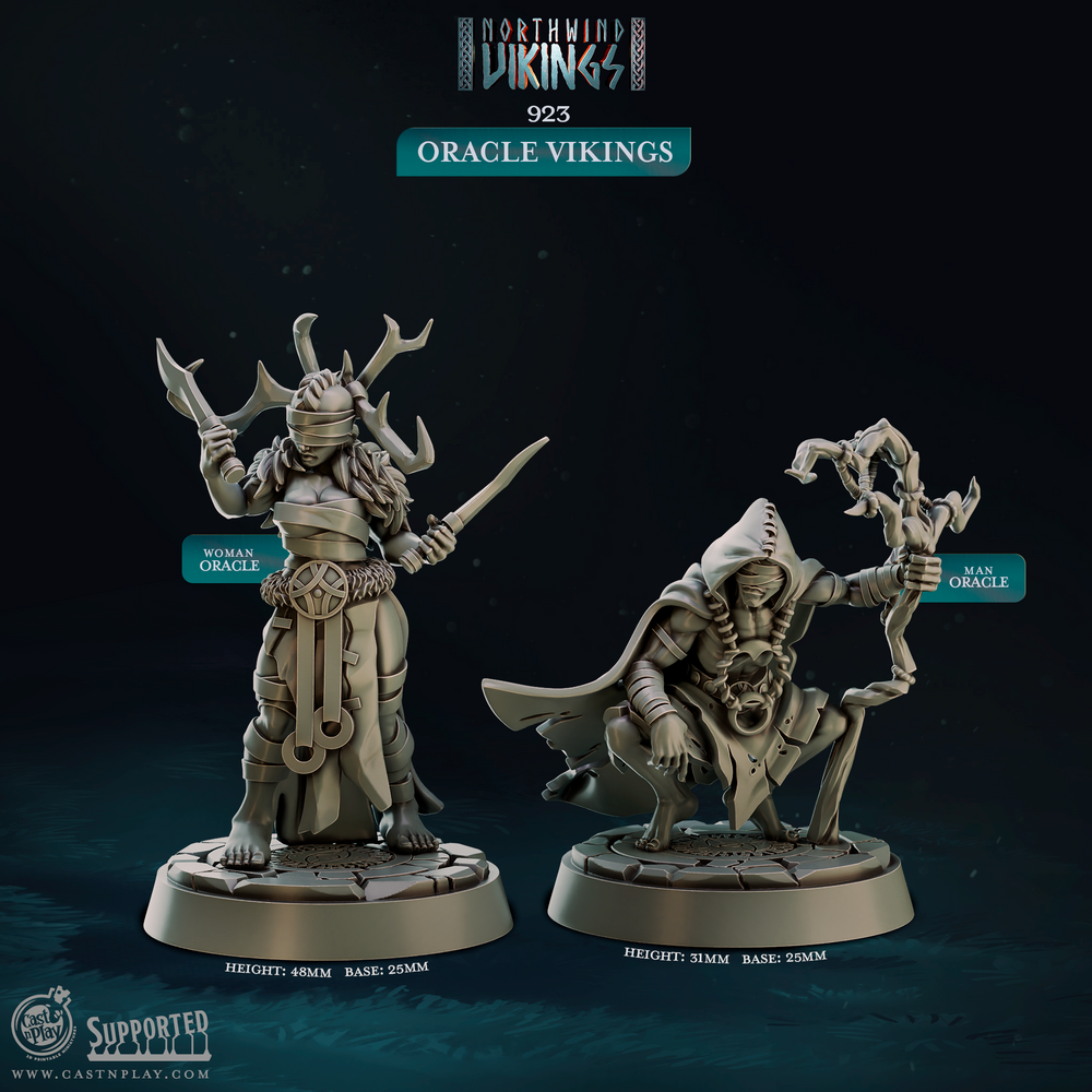 3D Printed Cast n Play Oracle Vikings Northwind Vikings 28mm 32mm D&D (Online Only)