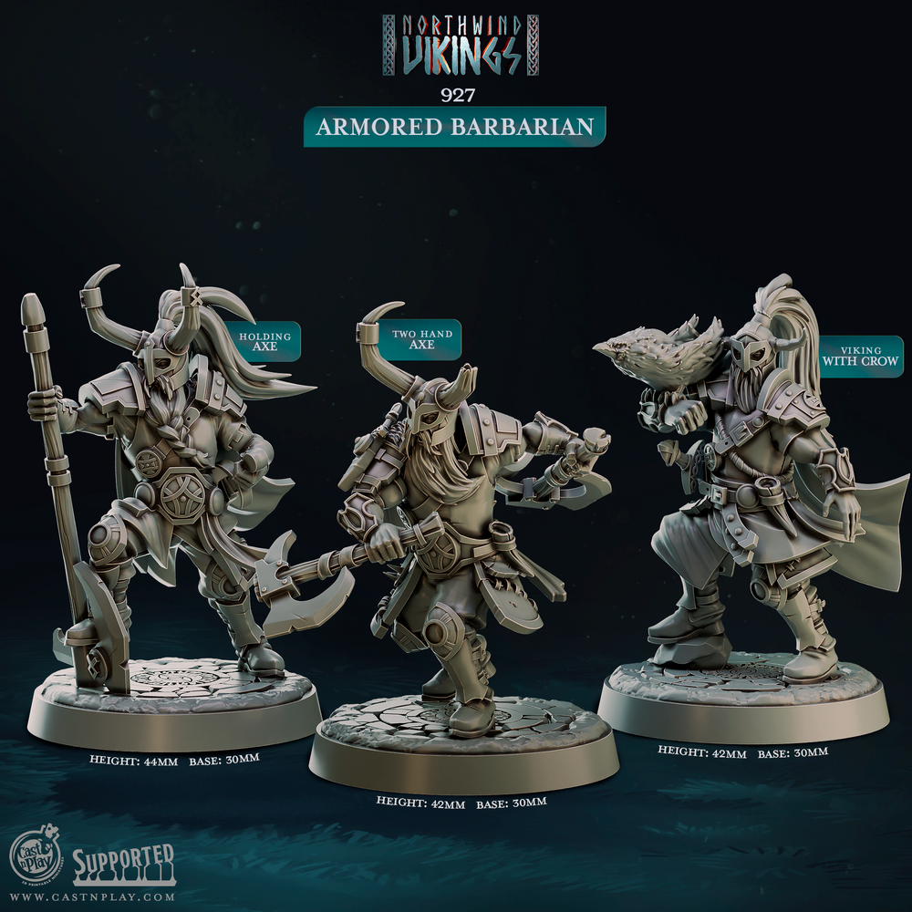 3D Printed Cast n Play Armored Barbarian Northwind Vikings 28mm 32mm D&D (Online Only)