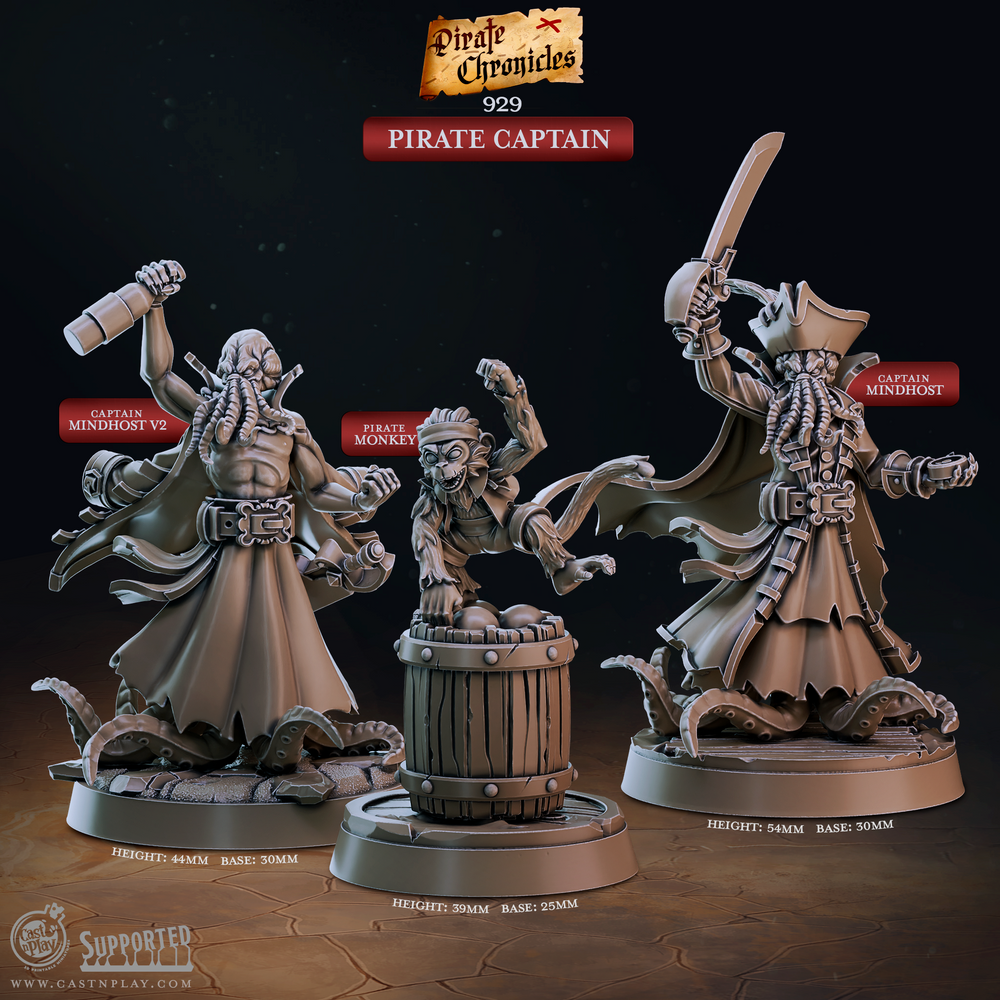 3D Printed Cast n Play Pirate Chronicles Collection 28mm 32mm D&D (Online Only)