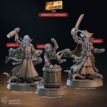 3D Printed Cast n Play Pirate Chronicles Collection 28mm 32mm D&D (Online Only)