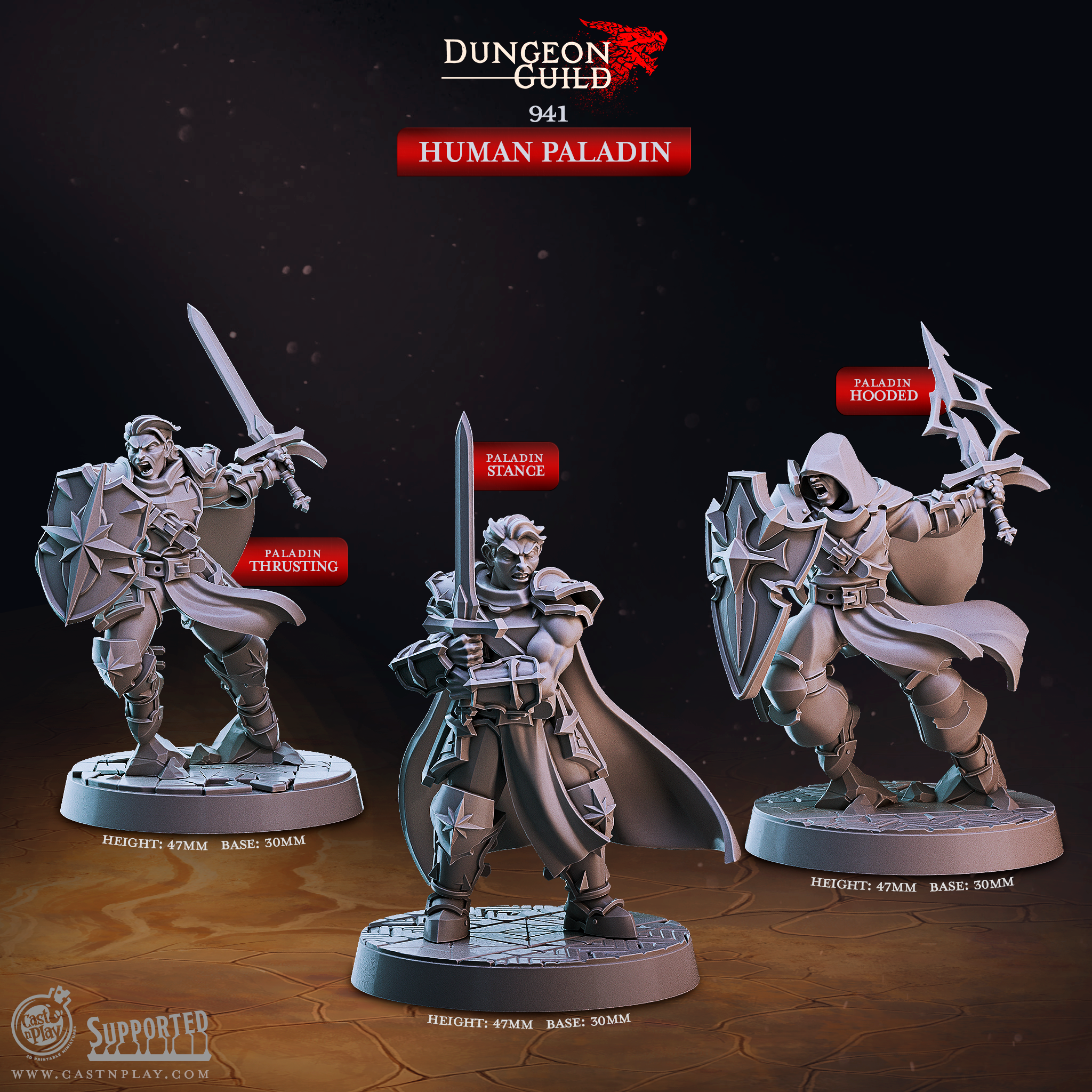 3D Printed Cast n Play Human Paladin Dungeon Guild Set 28mm 32mm D&D (Online Only)