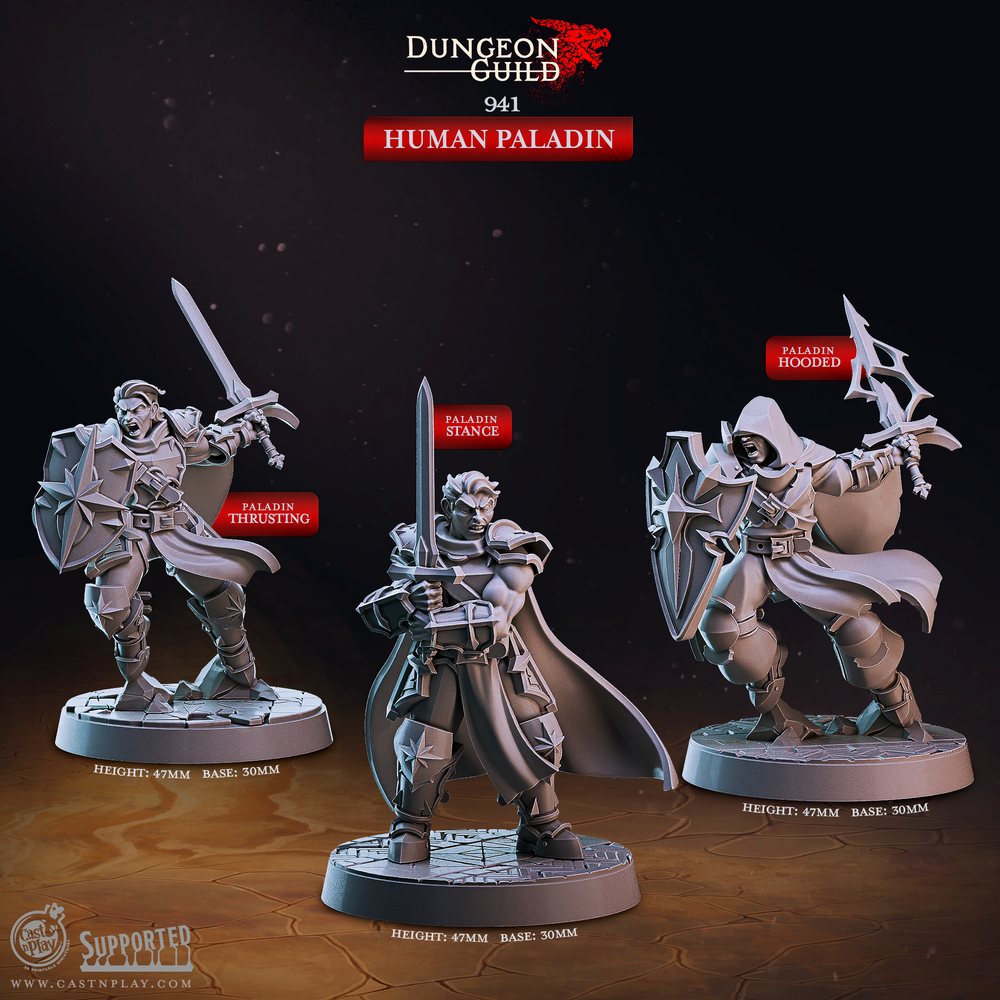3D Printed Cast n Play Human Paladin Dungeon Guild Set 28mm 32mm D&D (Online Only)