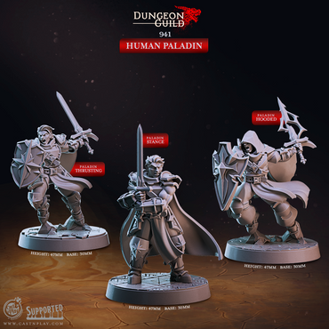 3D Printed Cast n Play Human Paladin Dungeon Guild Set 28mm 32mm D&D (Online Only)