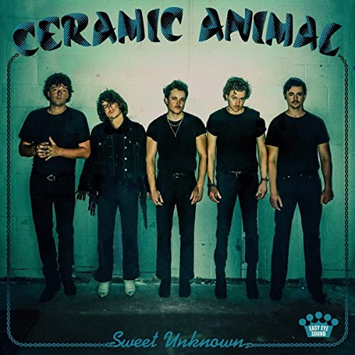 Sweet Unknown [Blue Smoke Translucent LP] [Vinyl]