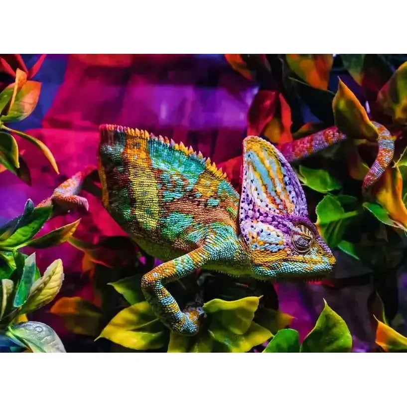 Chameleon 500 Piece Jigsaw Puzzle Ravensburger