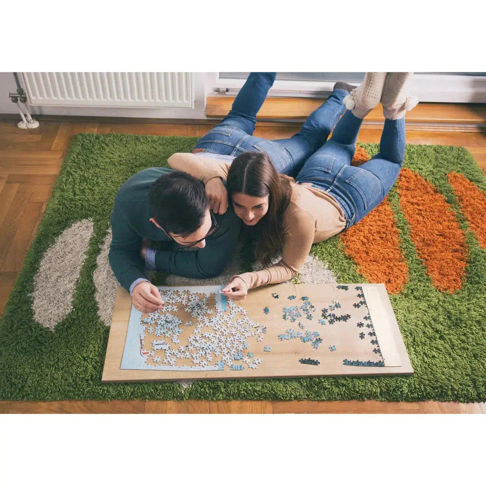 Chicago Metropuzzle 1000 Piece Jigsaw Puzzle Geotoys (ONLINE ORDER ONLY)