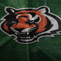 Cincinnati Bengals Bedding Set Duvet Cover Without Filler (Online Order Only)