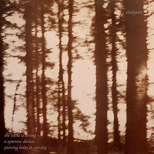 Wind Is Strong [Vinyl]