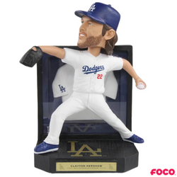 Framed Jersey Bobbleheads (ONLINE ORDER ONLY)