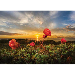 Cloudberries 1000 Piece Jigsaw Puzzle Heye (ONLINE ORDER ONLY)