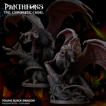 3D Printed Sordane Publishing Young Black Dragon Pantheons The Chromatic Cabal 28 32mm D&D (Online Only)