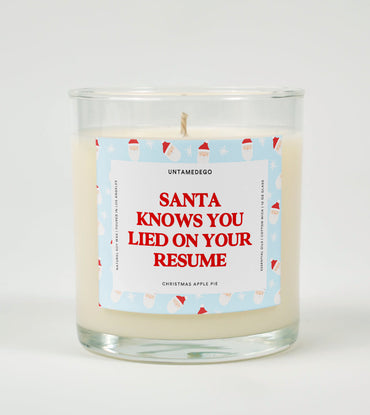 Santa Knows You Lied on Your Resume | Funny Christmas Candle (ONLINE ORDER ONLY)