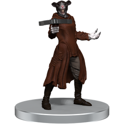 D&D: Icons of the Realms - Adventure in a Box: Wererat Den (ONLINE ORDER ONLY)