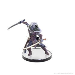 D&D: The Legend of Drizzt 35th Anniversary - Family & Foes Boxed Set (ONLINE ORDER ONLY)