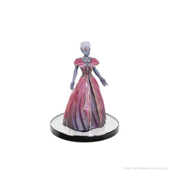 D&D: The Legend of Drizzt 35th Anniversary - Family & Foes Boxed Set (ONLINE ORDER ONLY)