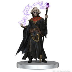 D&D: Icons of the Realms - The Wild Beyond the Witchlight - League of Malevolence Starter Set (ONLINE ORDER ONLY)