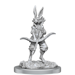 D&D: Nolzur's Marvelous Miniatures - Harengon (Paint Night Kit) (ONLINE ORDER ONLY)