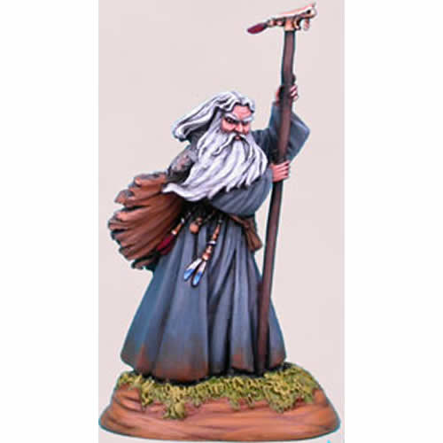 DSM1113 Male Wizard Miniature Elmore Masterwork Dark Sword Miniatures (ONLINE ORDER ONLY)