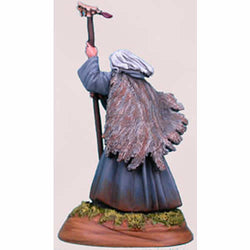 DSM1113 Male Wizard Miniature Elmore Masterwork Dark Sword Miniatures (ONLINE ORDER ONLY)