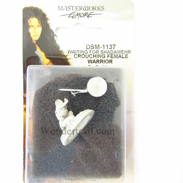 DSM1137 Female Fighter Waiting For Shadamerh Miniature (ONLINE ORDER ONLY)