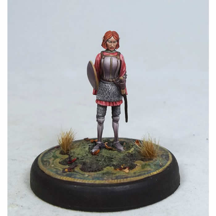 DSM4604 Tara Swiftblade Female Elven Warrior Miniature (ONLINE ORDER ONLY)