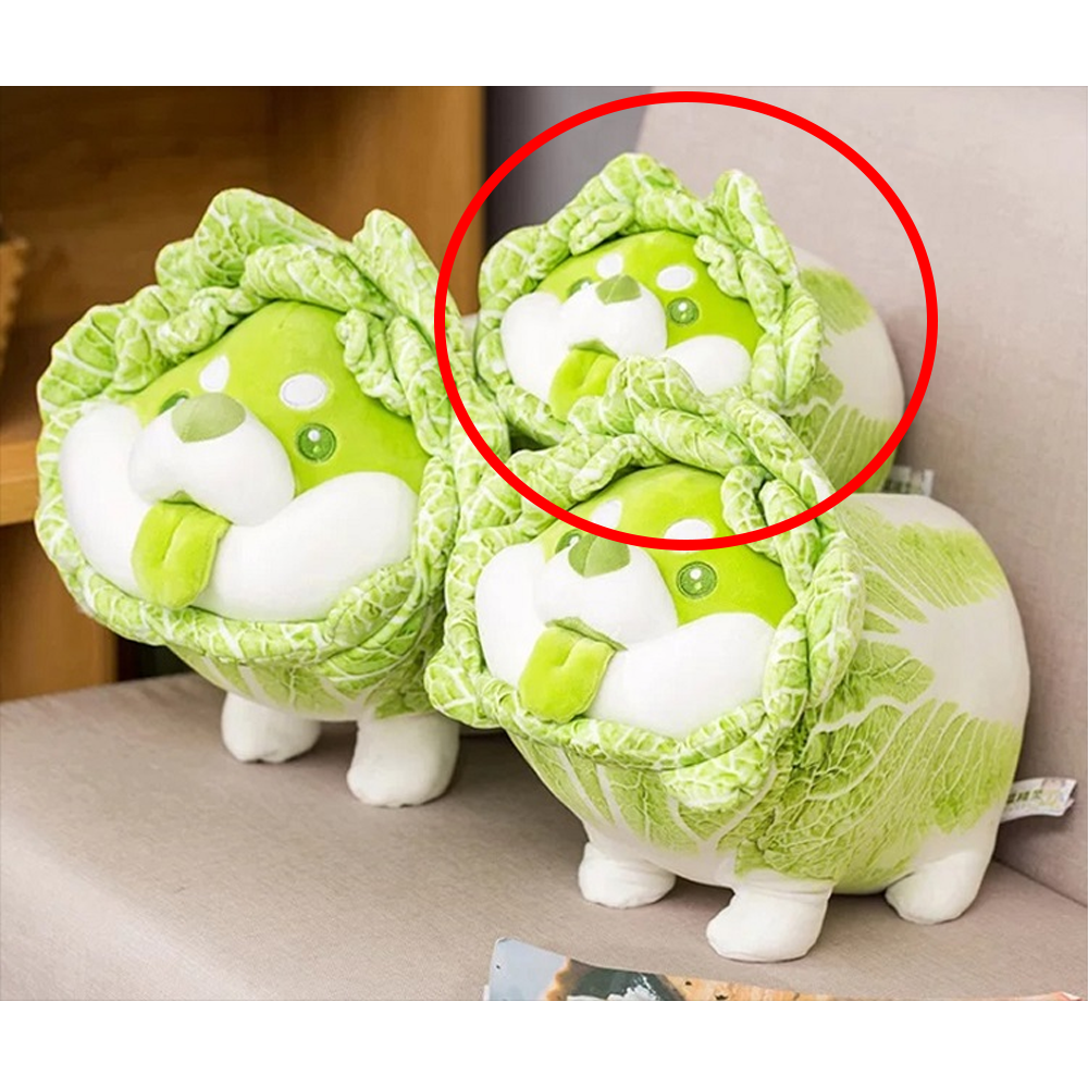 Dodowo: Vegetable Fairies Series - Cabbage Dog Plush (ONLINE ORDER ONLY)