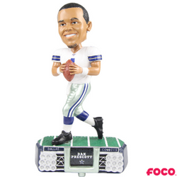 NFL Stadium Lights Bobbleheads (ONLINE ORDER ONLY)