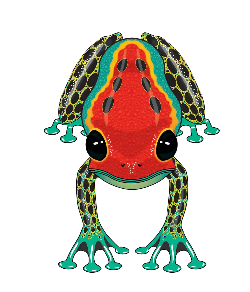 RainForest Dart Frog