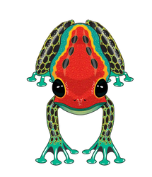 RainForest Dart Frog