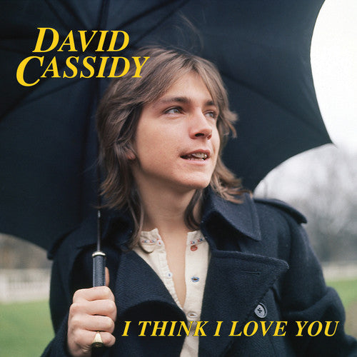 David Cassidy - I Think I Love You (Limited Edition, Blue, Pink) (7" Single) [Vinyl] (ONLINE ORDER ONLY)